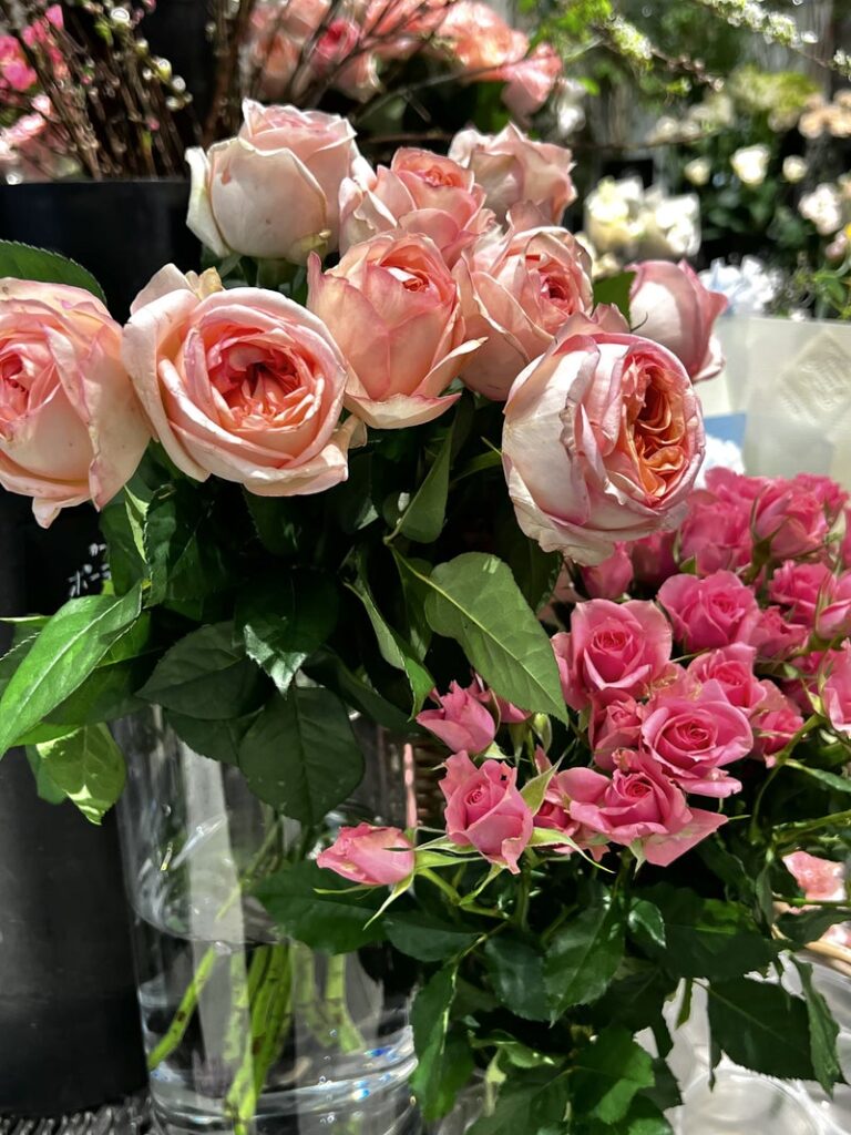 栃木県　宇都宮　ショッピング同行